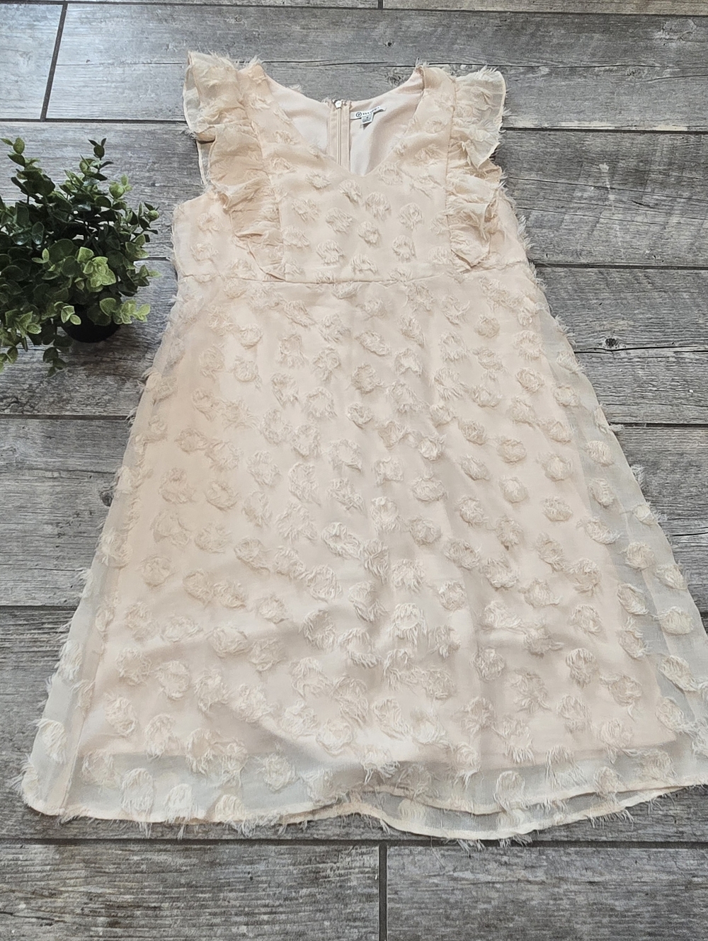 Versona Cream Textured Floral Cottagecore Feminine Mini-Dress, Size 6